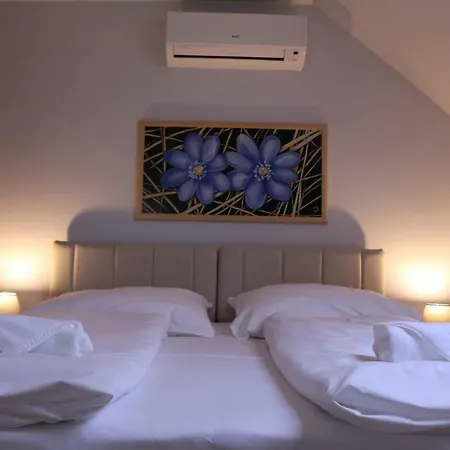 Soerpatika Vendeghaz Guest house *