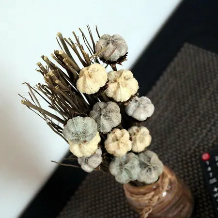 Affittacamere Sörpatika Badacsonytomaj