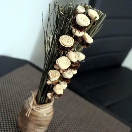 Sörpatika Maison d'hôtes *