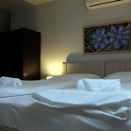 Guest house Soerpatika Vendeghaz *