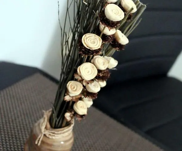 Sörpatika Affittacamere 4*