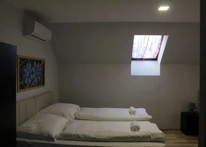 Soerpatika Vendeghaz