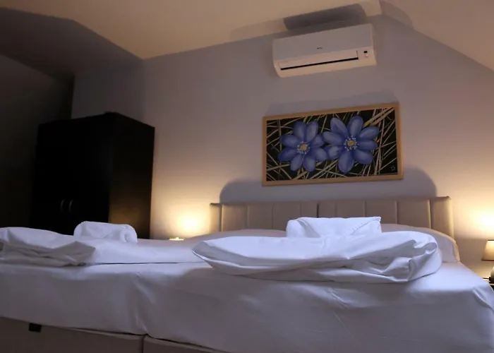 Soerpatika Vendeghaz בית הארחה